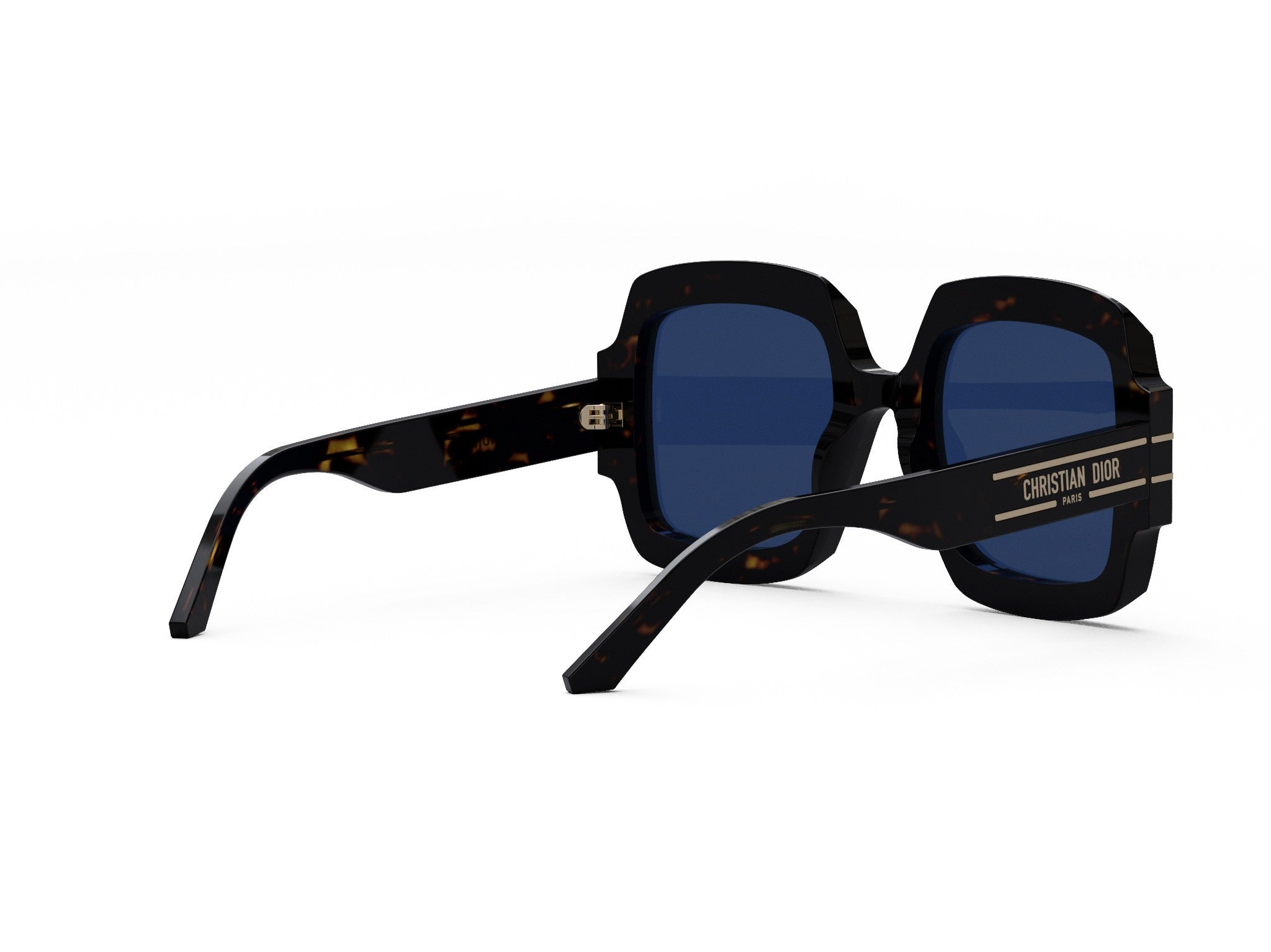 DIORSIGNATURE S1U 20B0 55