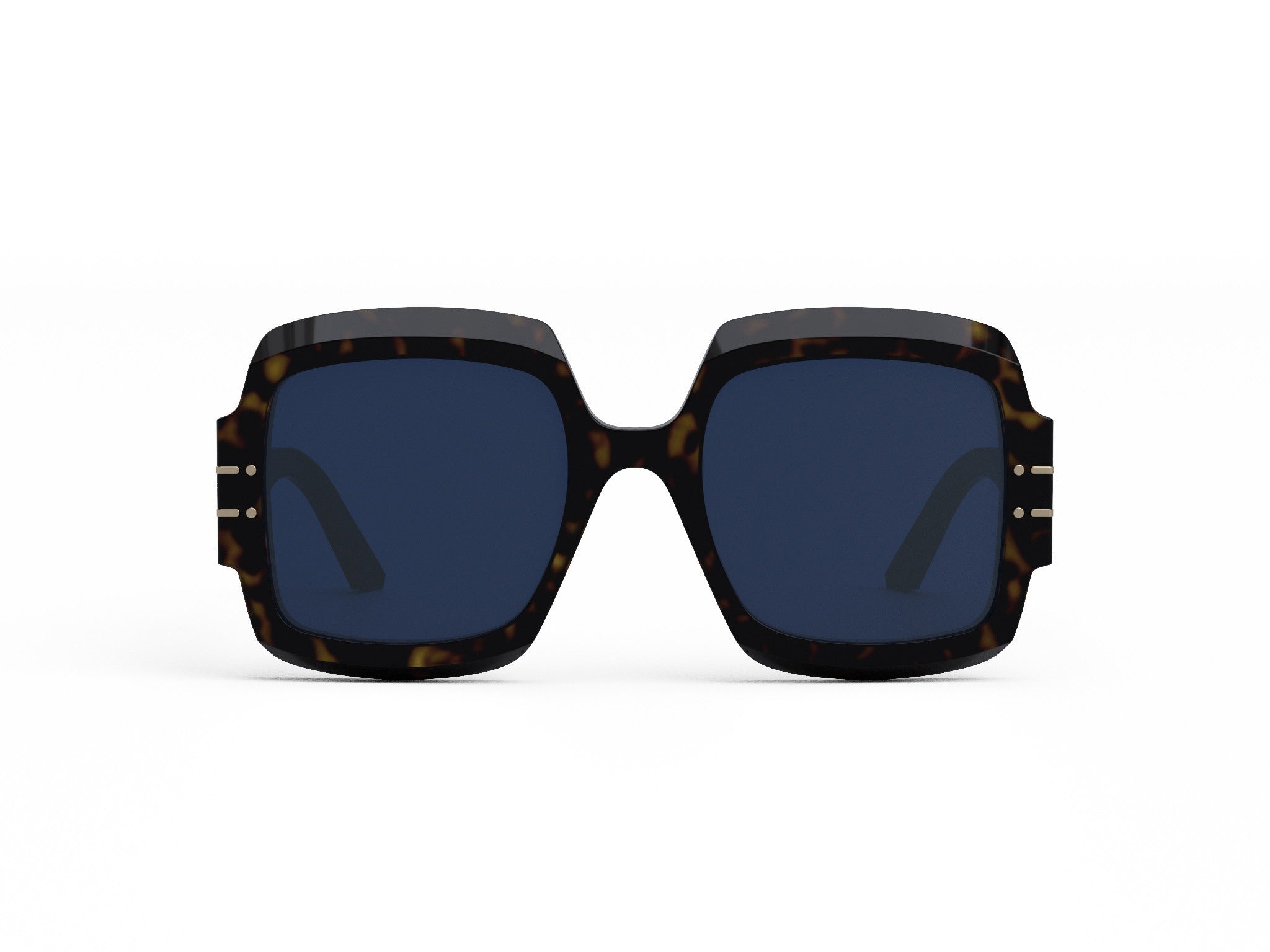 DIORSIGNATURE S1U 20B0 55