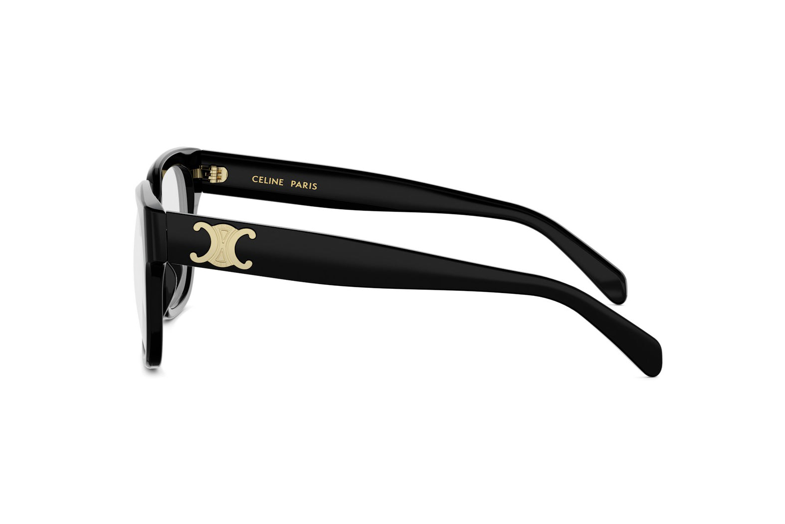 CELINE TRIOMPHE CL50172I 001 54