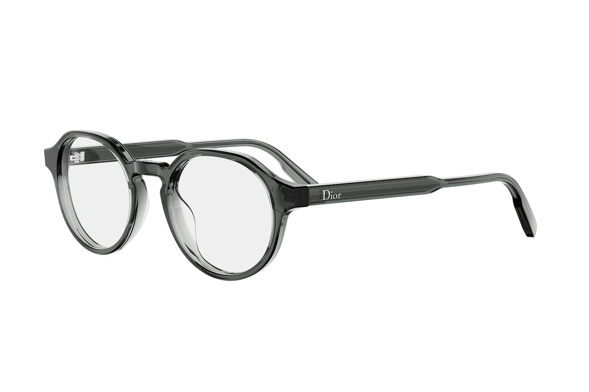 DIORIBBONO R1I 4500 49