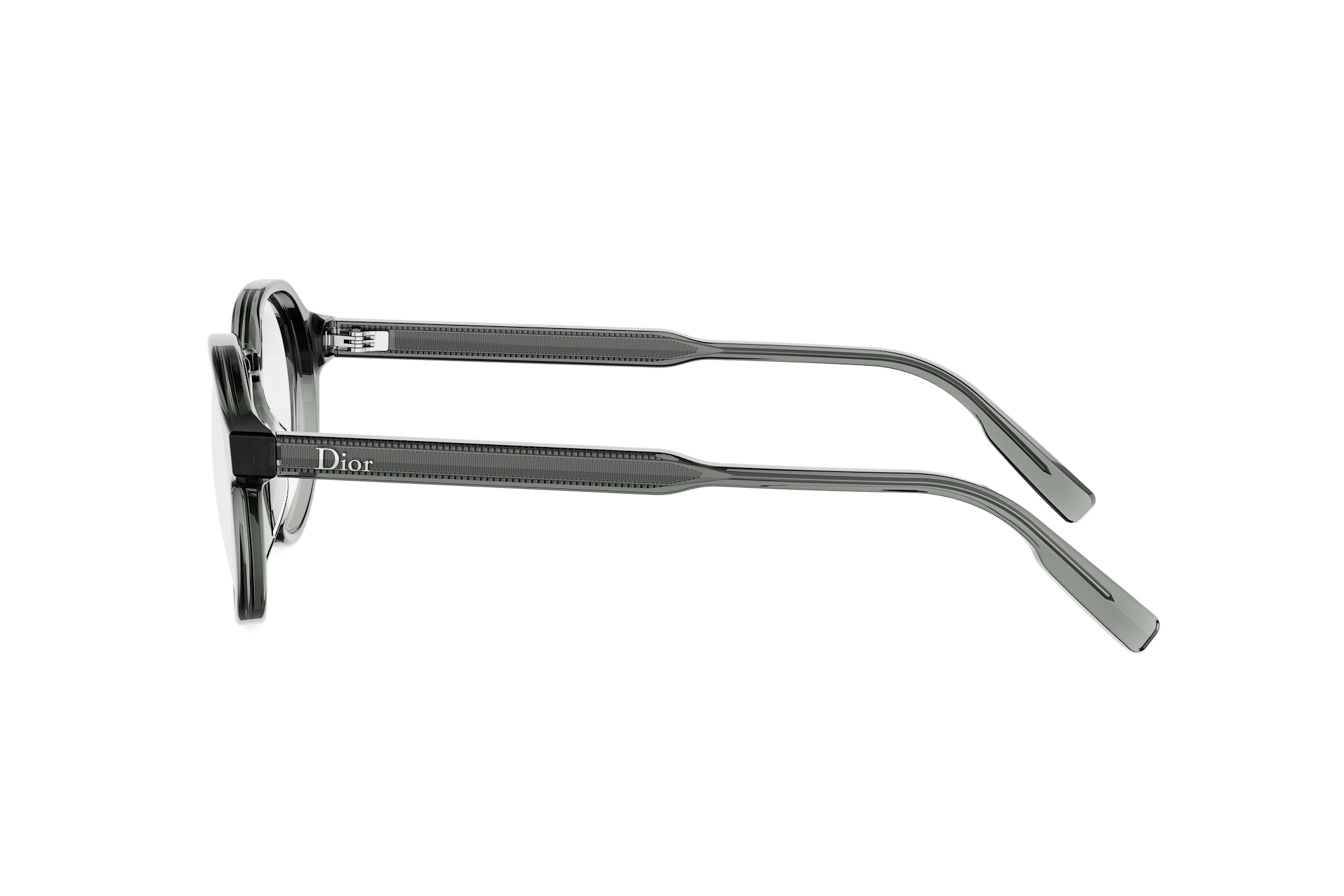 DIORIBBONO R1I 4500 49