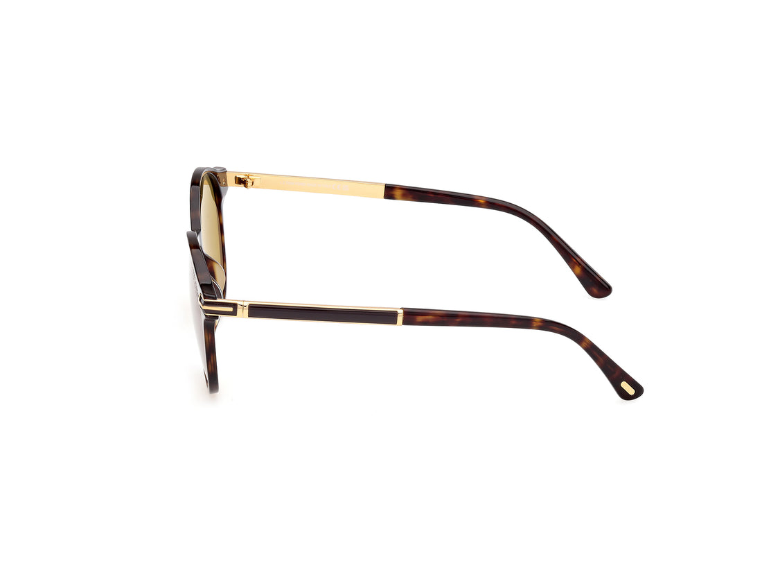 Sunčane naočale tom ford ft1184 araki 52h havana round masculino veličina 52mm - Detaljni prikaz