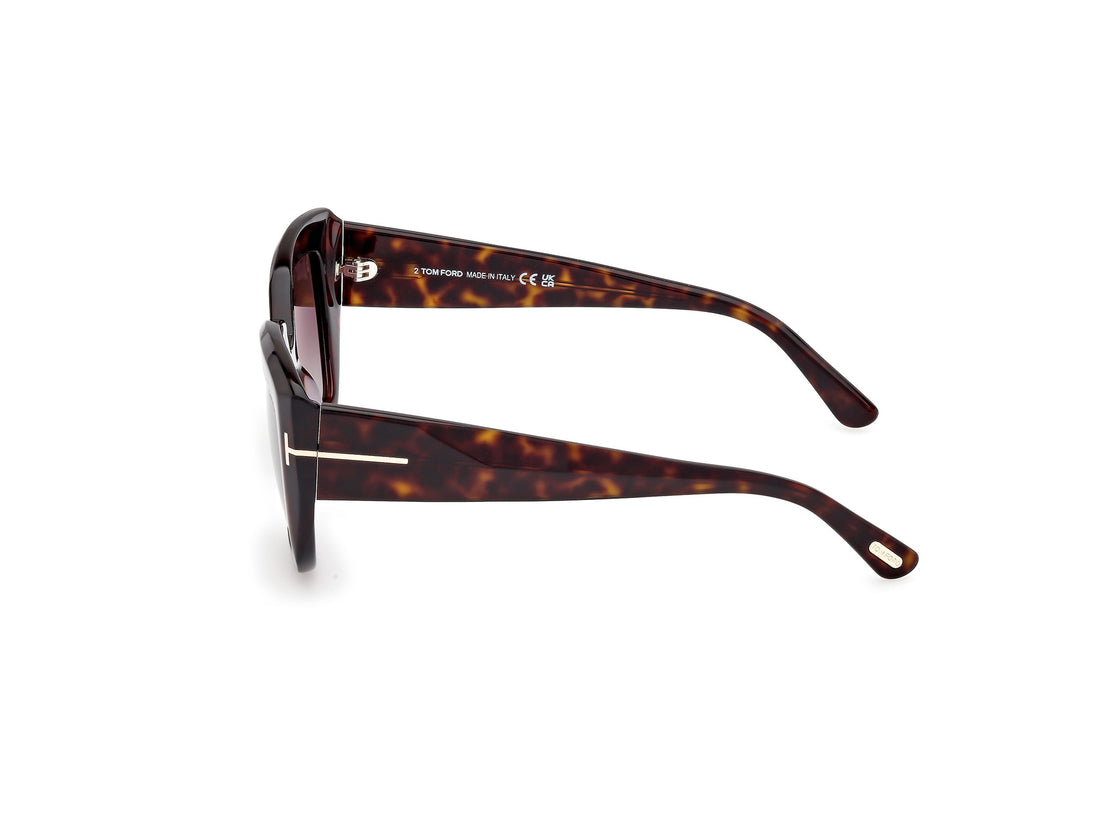 Sonnenbrillen tom ford ft1192 saltzman 52b havana butterfly femenino größe 53mm - Detailansicht