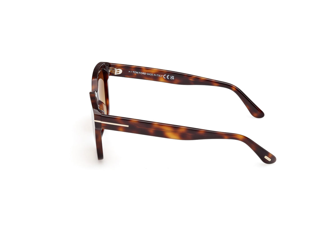 Sunčane naočale tom ford ft1216 haylay 53f havana square femenino veličina 53mm - Detaljni prikaz