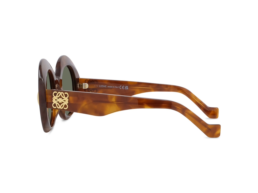 Gafas de sol loewe anagram lw40146i 53n havana oval femenino talla 50mm - Vista de detalle
