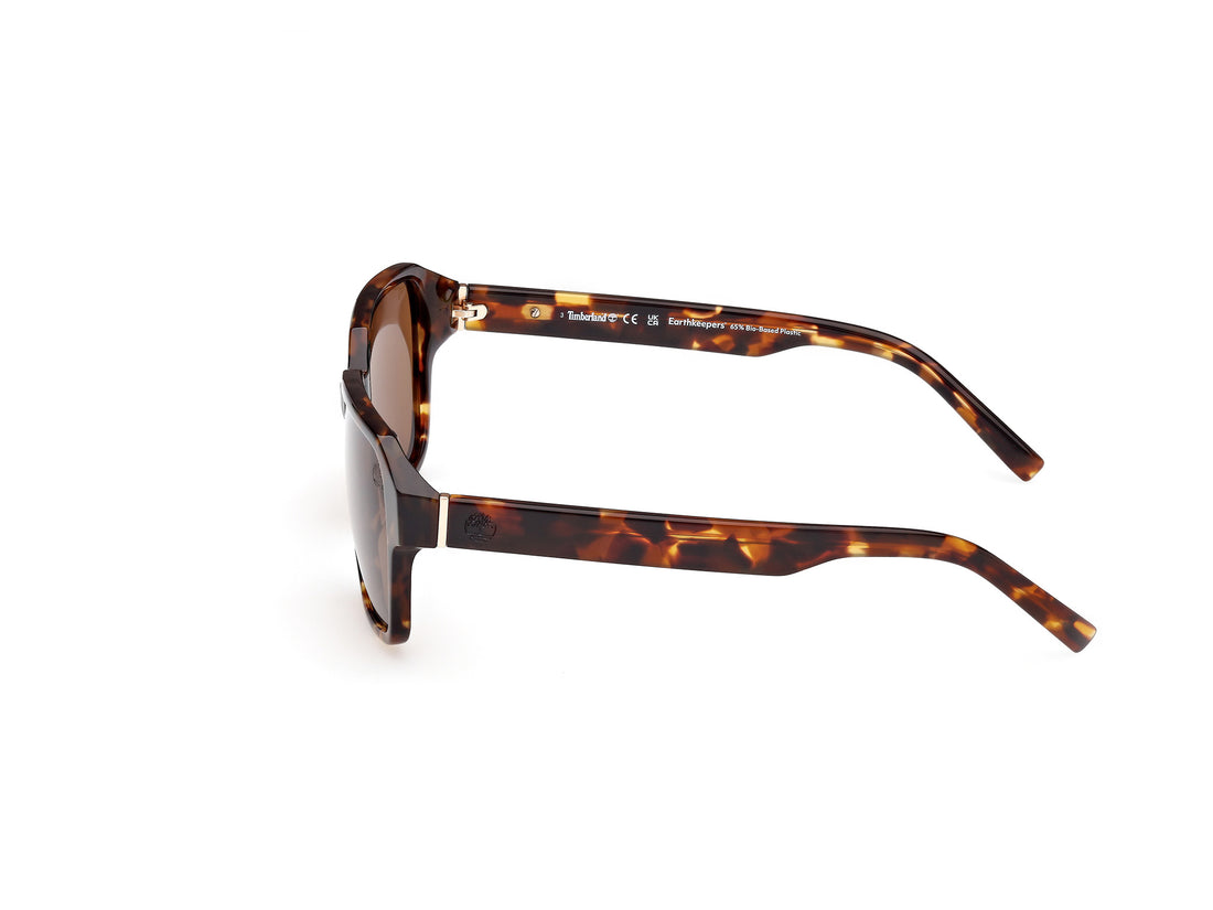 Óculos de sol timberland tb00043 54h havana square masculino tamanho 56mm - Vista de detalhe