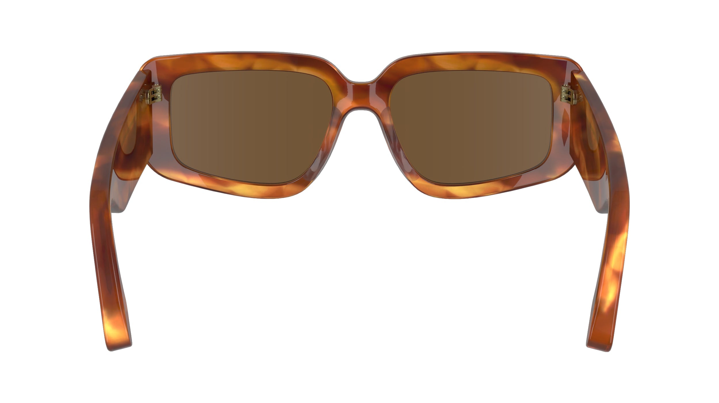 VICTORIA BECKHAM VB670S 223 54