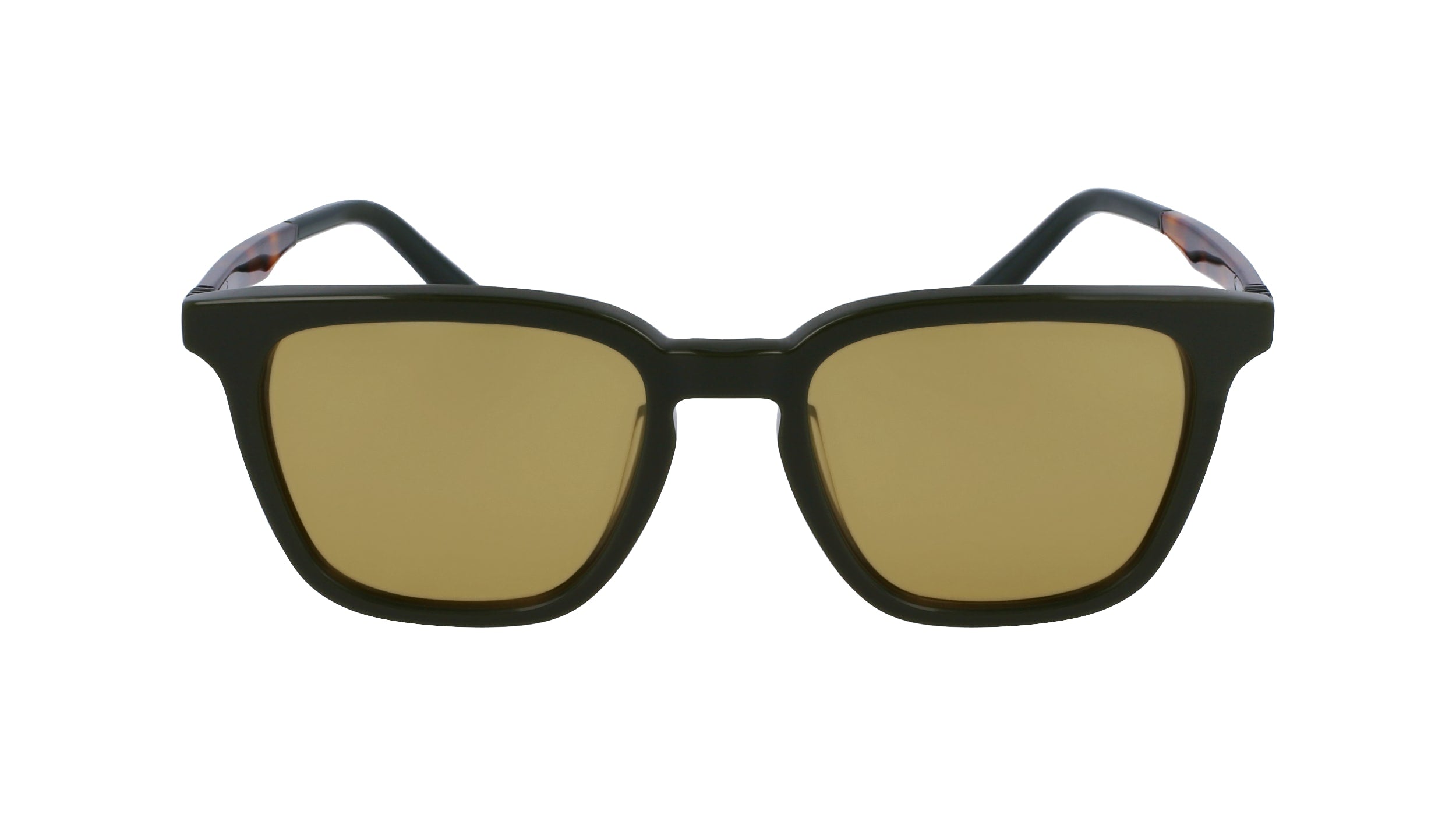 FERRAGAMO SF1100S 302 52