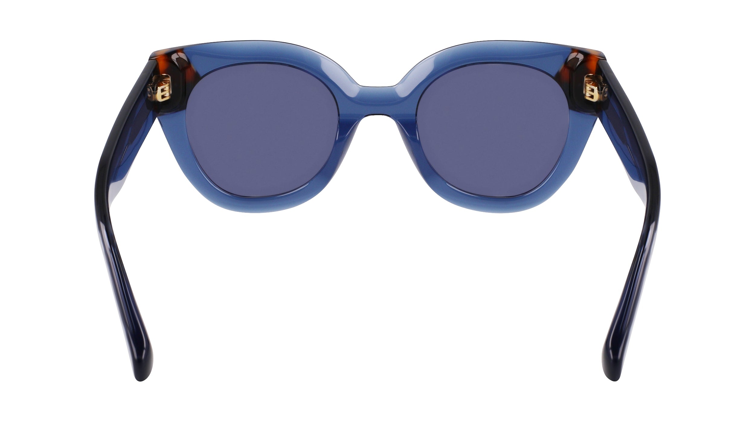 LONGCHAMP LO750S 430 49