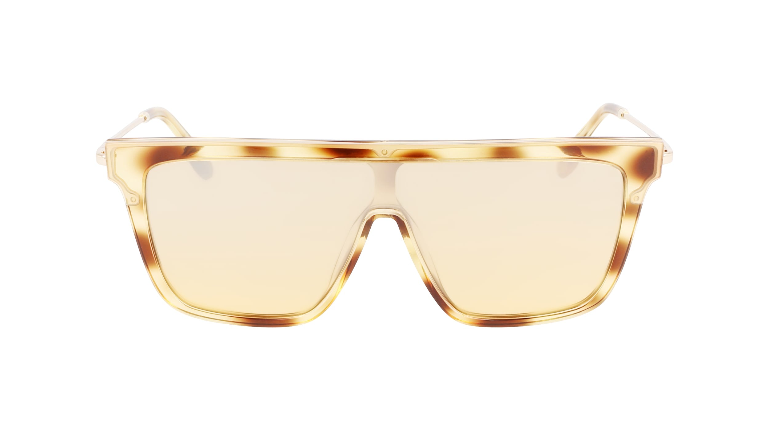 VICTORIA BECKHAM VB650S 222 53