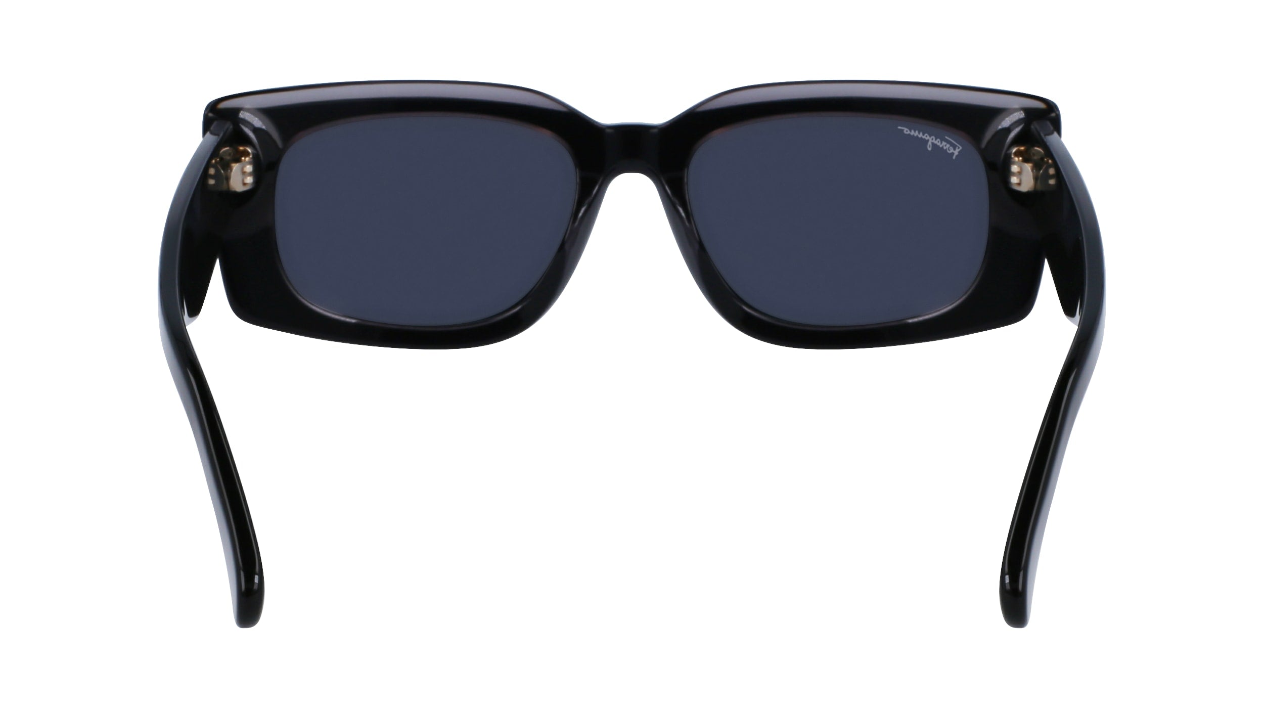 FERRAGAMO SF1079S 022 54