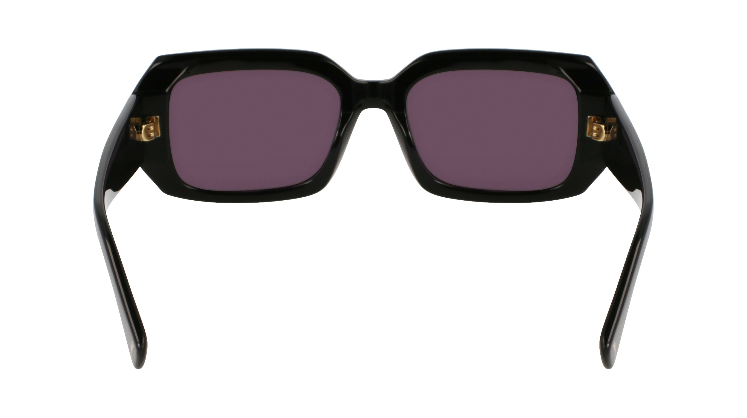 LONGCHAMP LO765S 001 53