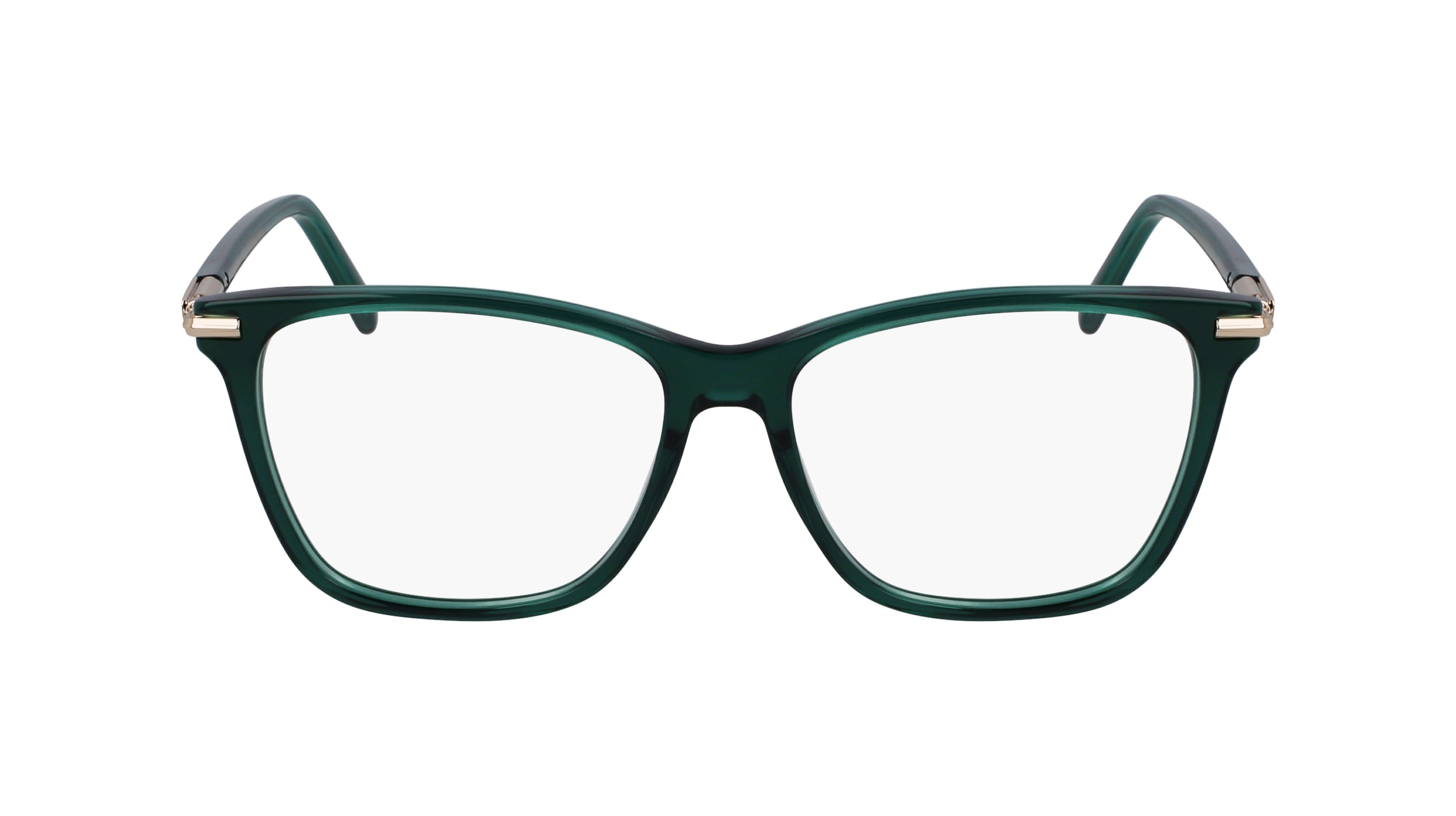 FERRAGAMO SF3013 317 53