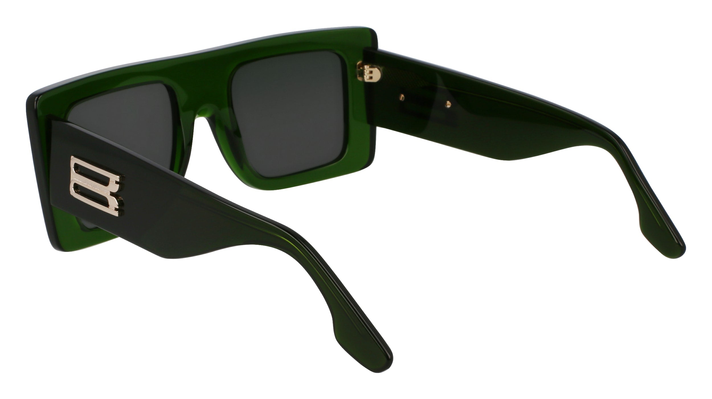 VICTORIA BECKHAM VB677S 302 51