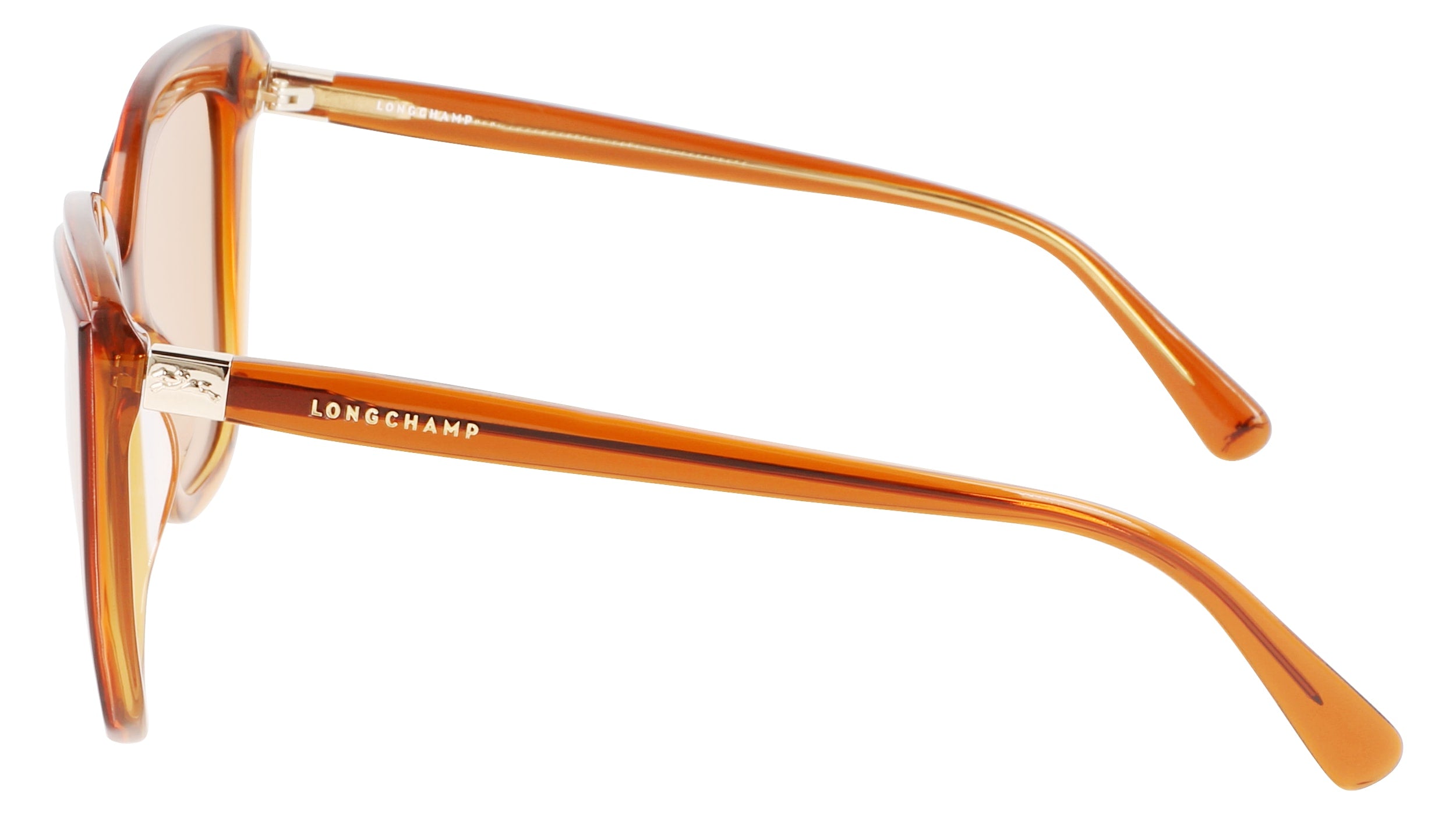 LONGCHAMP LO689S 744 53