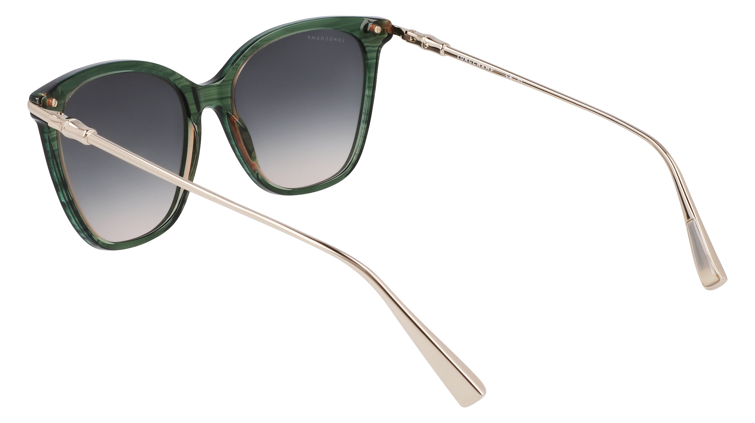 LONGCHAMP LO757S 308 55