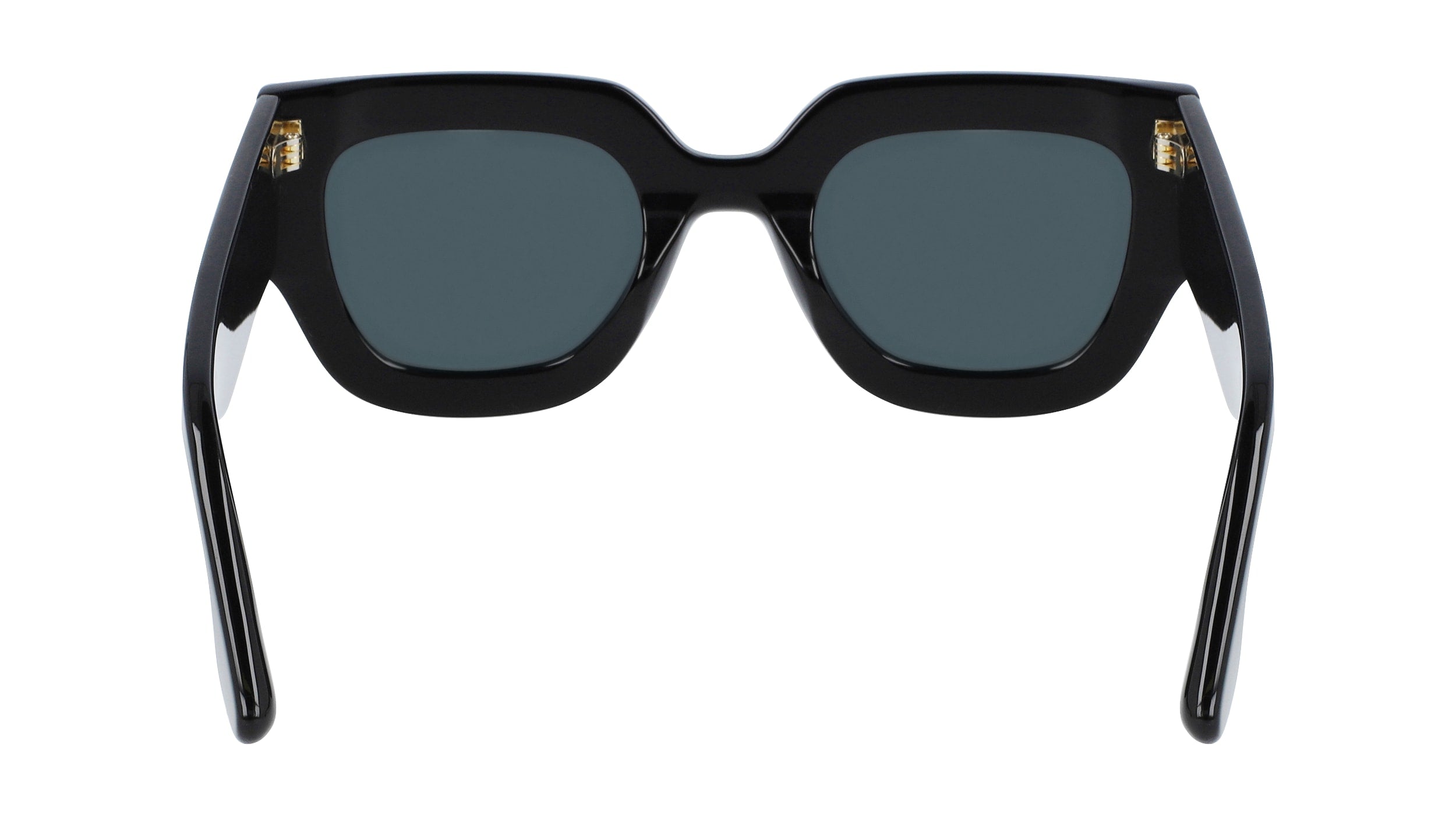 VICTORIA BECKHAM VB606S 001 49