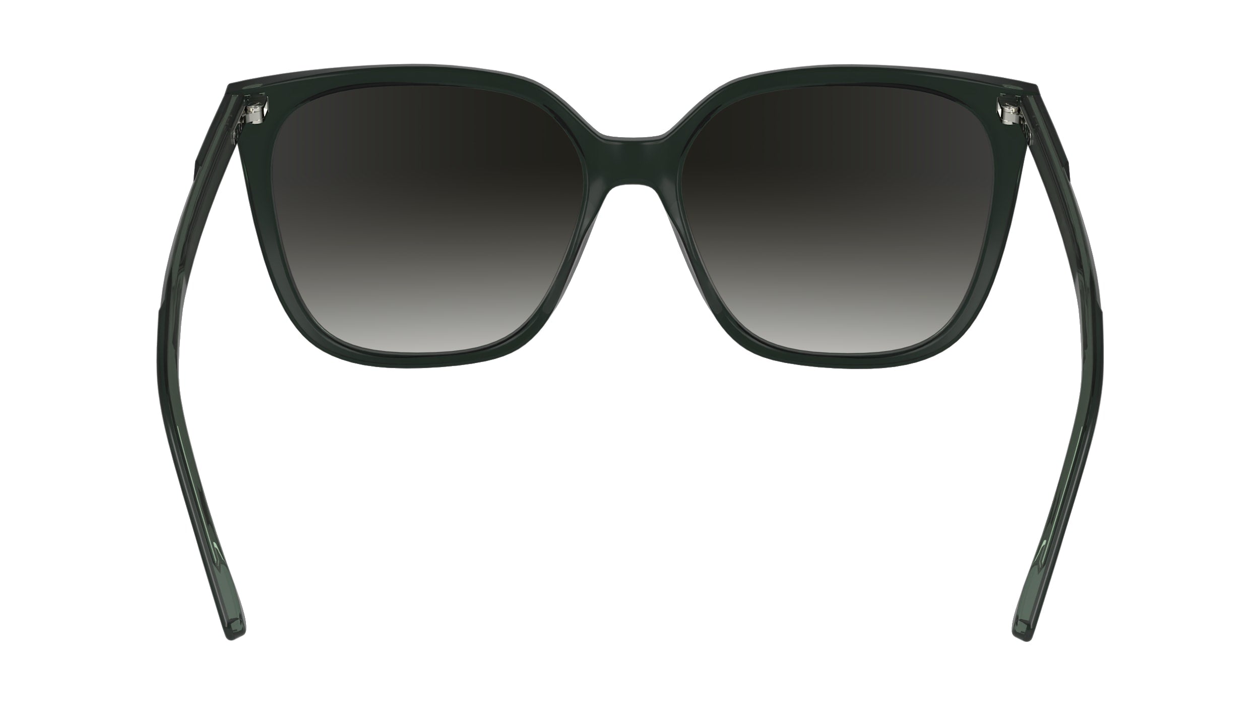 CALVIN KLEIN CK24509S 339 56