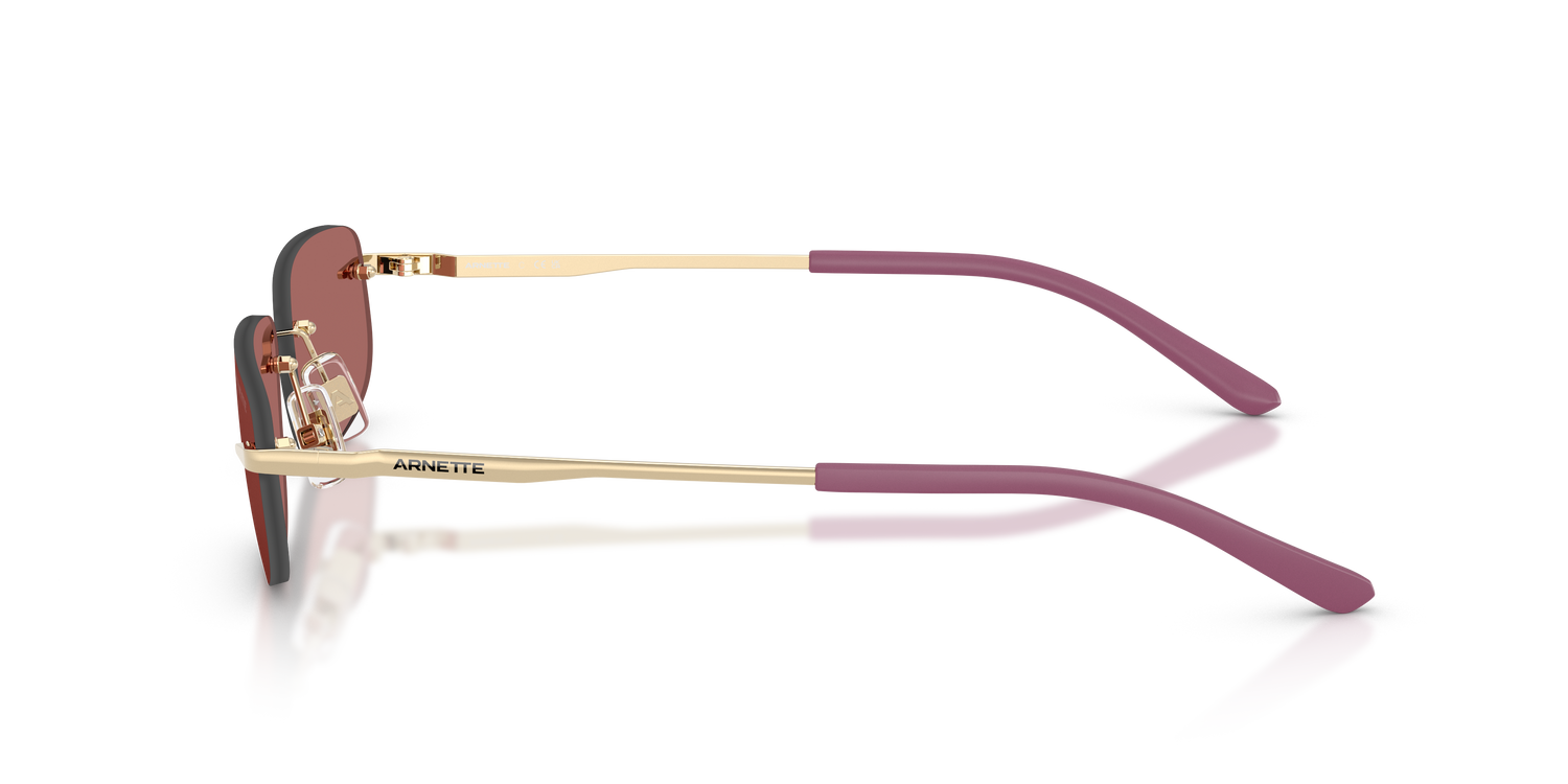 ARNETTE AN3096 748/69 55
