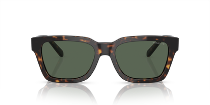 ARNETTE AN4334 COLD HEART 2.0 122271 53 - 17