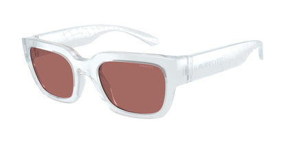 ARNETTE AN4354 MYNDEGAP 298969 49