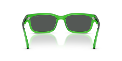 ARNETTE AN4363 DEFYER 301487 55