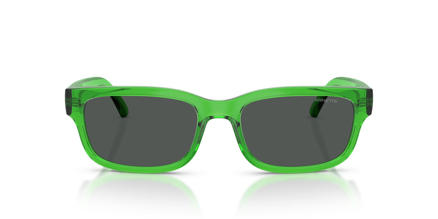 ARNETTE AN4363 DEFYER 301487 55