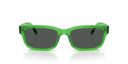 ARNETTE AN4363 DEFYER 301487 55