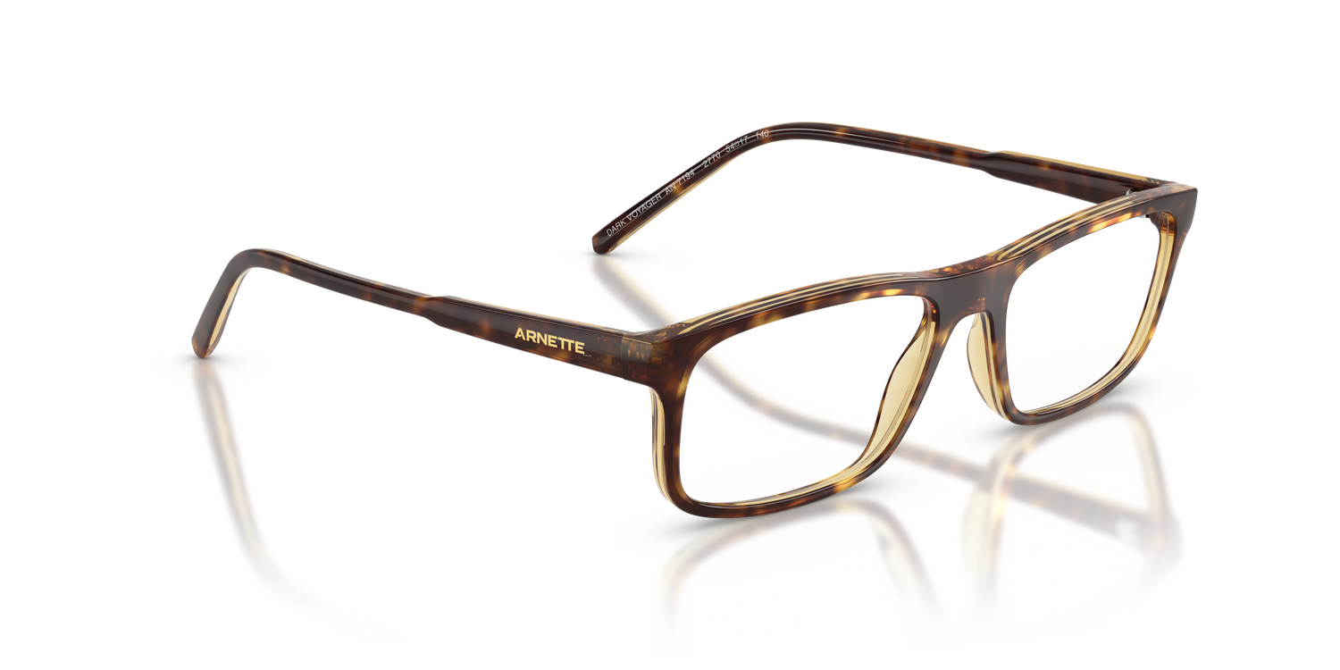 ARNETTE AN7194 DARK VOYAGER 2770 54