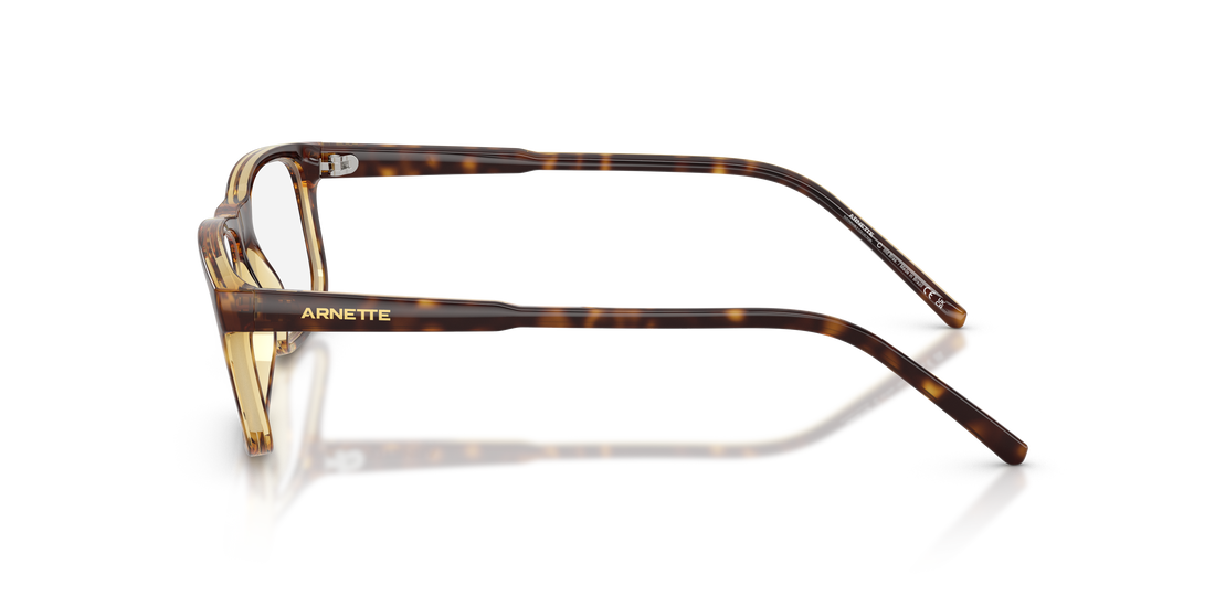 ARNETTE AN7194 DARK VOYAGER 2770 54