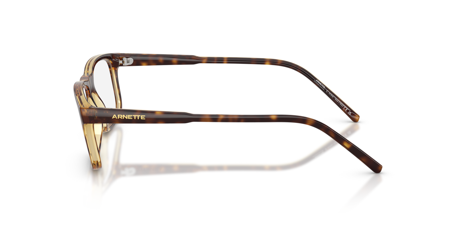 ARNETTE AN7194 DARK VOYAGER 2770 54