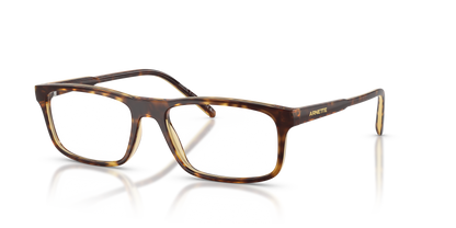 ARNETTE AN7194 DARK VOYAGER 2770 54