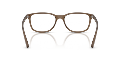 ARNETTE AN7281 CRUMBLE 2997 54