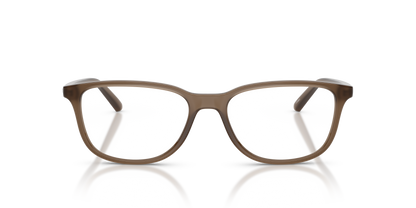 ARNETTE AN7281 CRUMBLE 2997 54