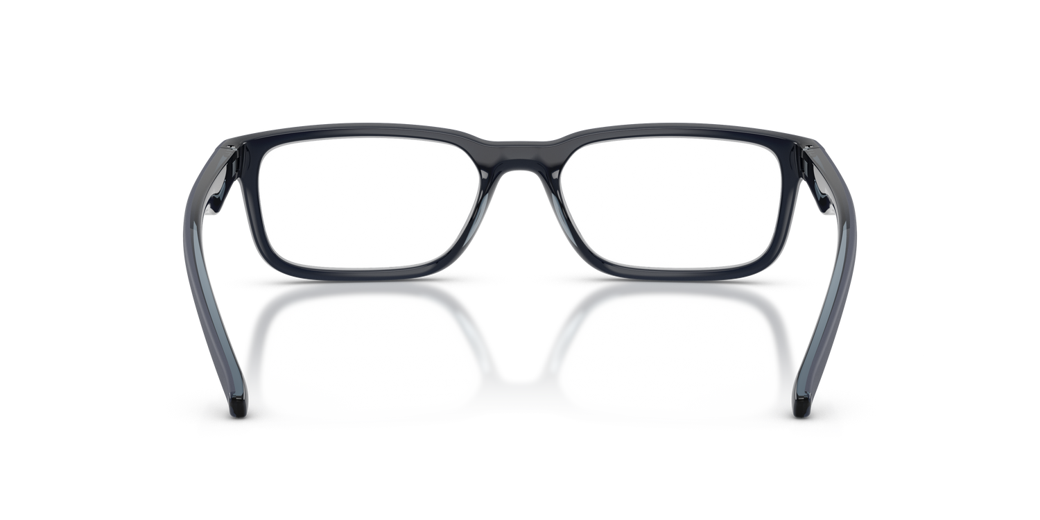 ARNETTE AN7283 RAYSIN 3007 53