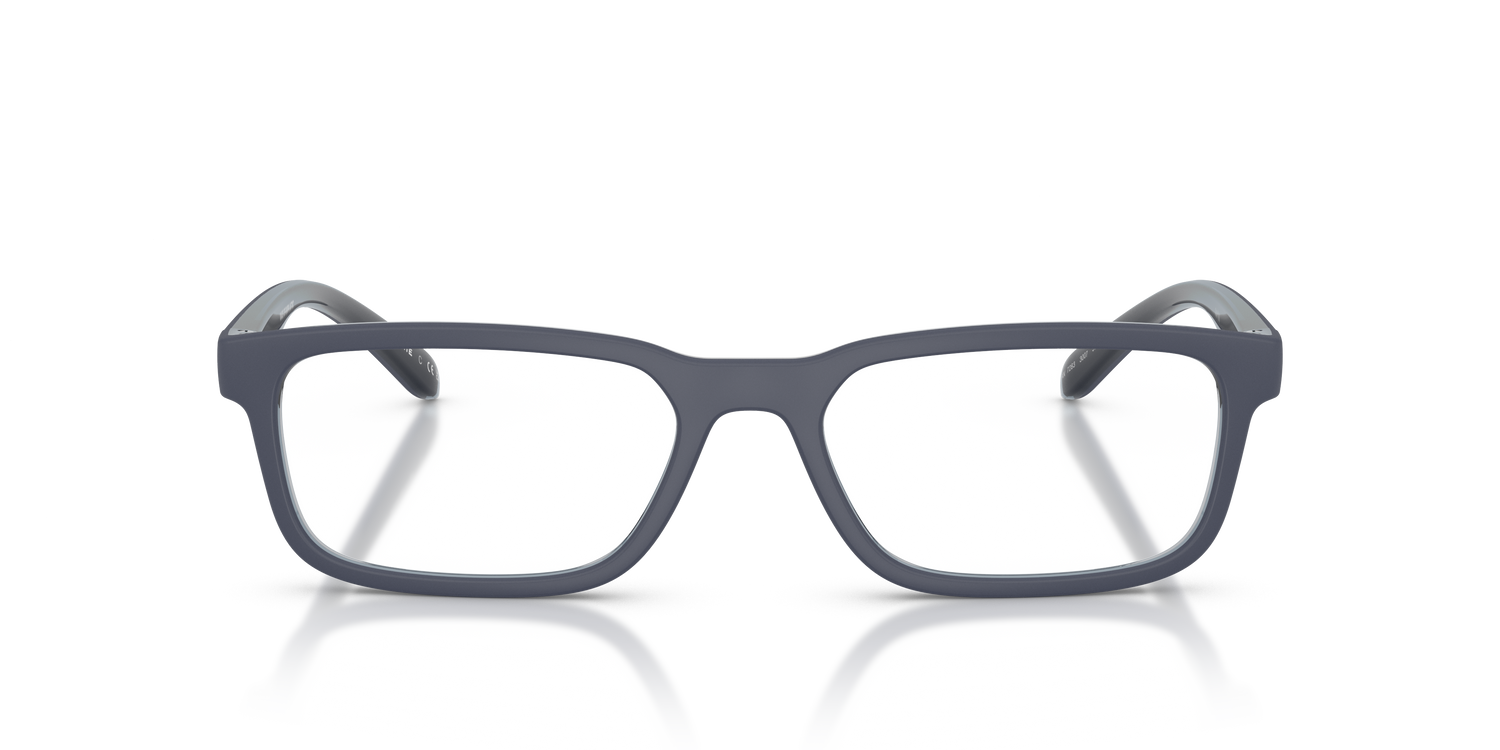 ARNETTE AN7283 RAYSIN 3007 55