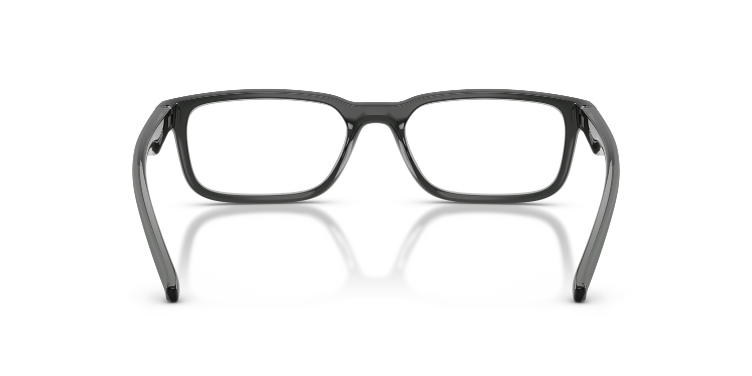 ARNETTE AN7283 RAYSIN 3009 55