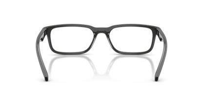 ARNETTE AN7283 RAYSIN 3009 55