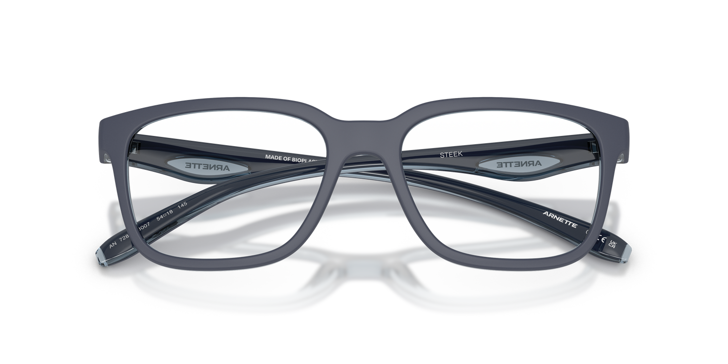 ARNETTE AN7284 STEEK 3007 54