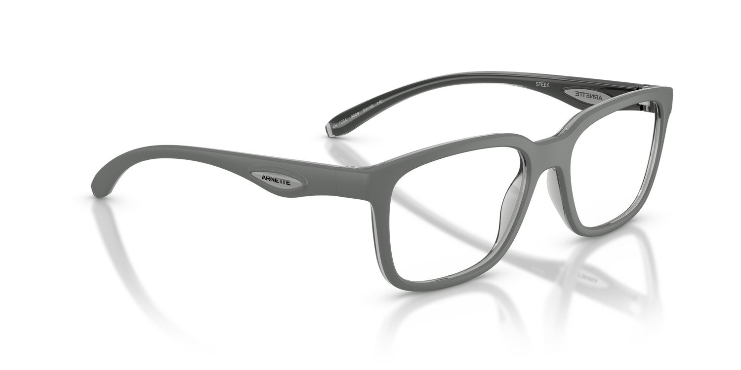 ARNETTE AN7284 STEEK 3009 54