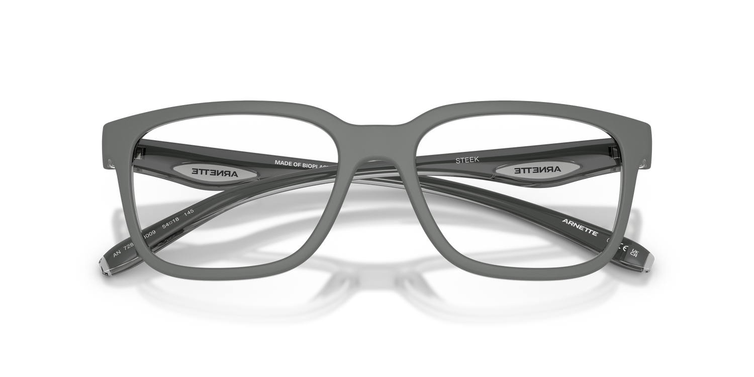 ARNETTE AN7284 STEEK 3009 54