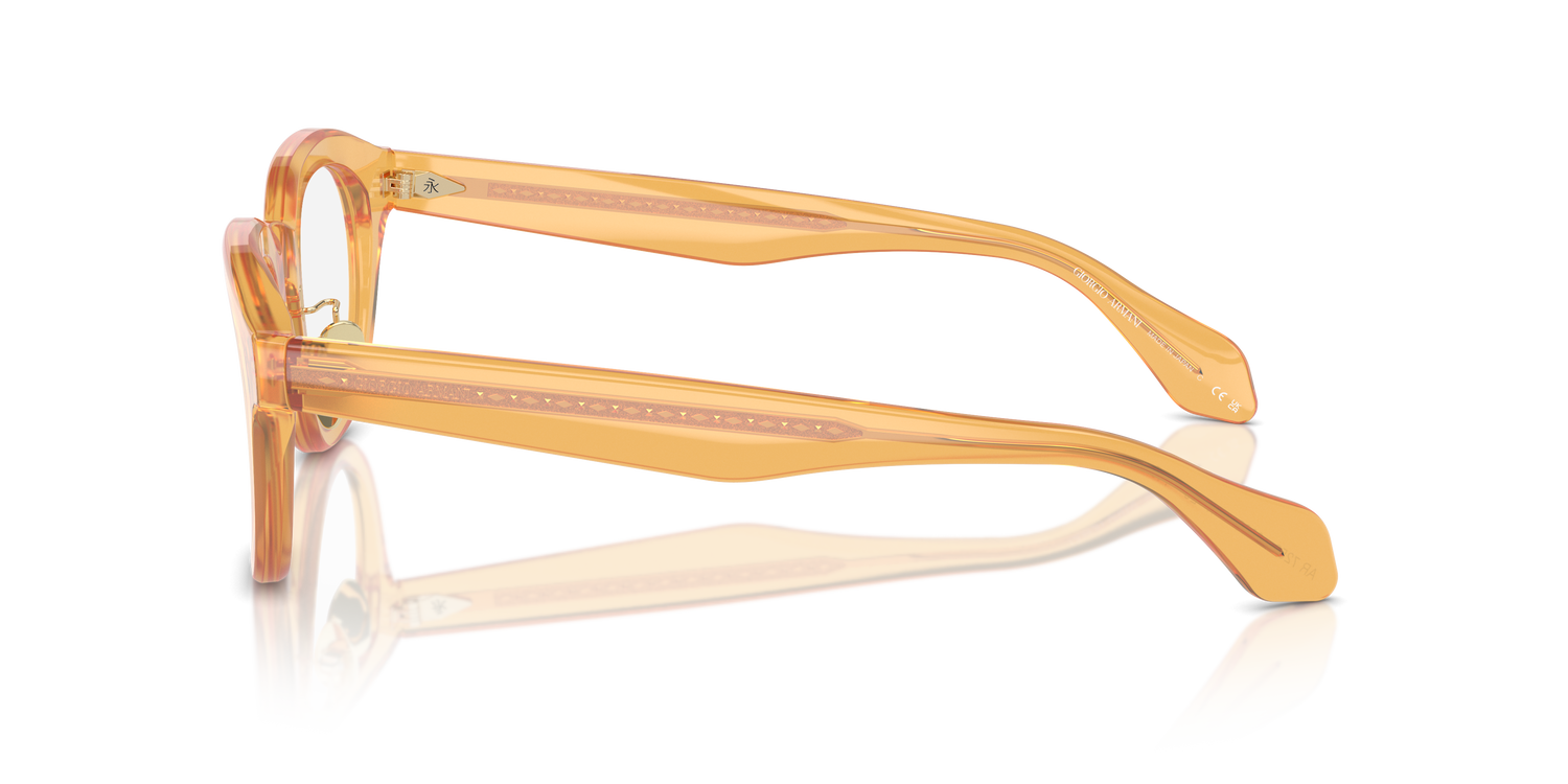 GIORGIO ARMANI AR7253 6063 47