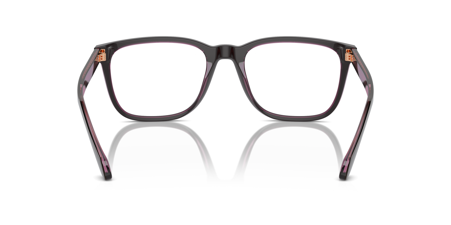 GIORGIO ARMANI AR7255 6088 55