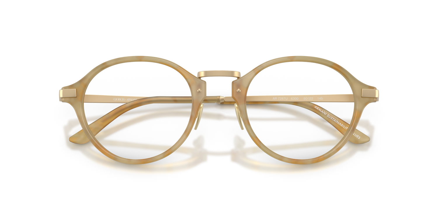 GIORGIO ARMANI AR7287 6300 50