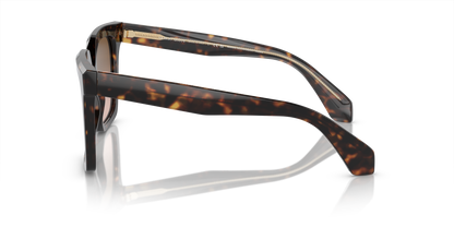 GIORGIO ARMANI AR8156 587951 52