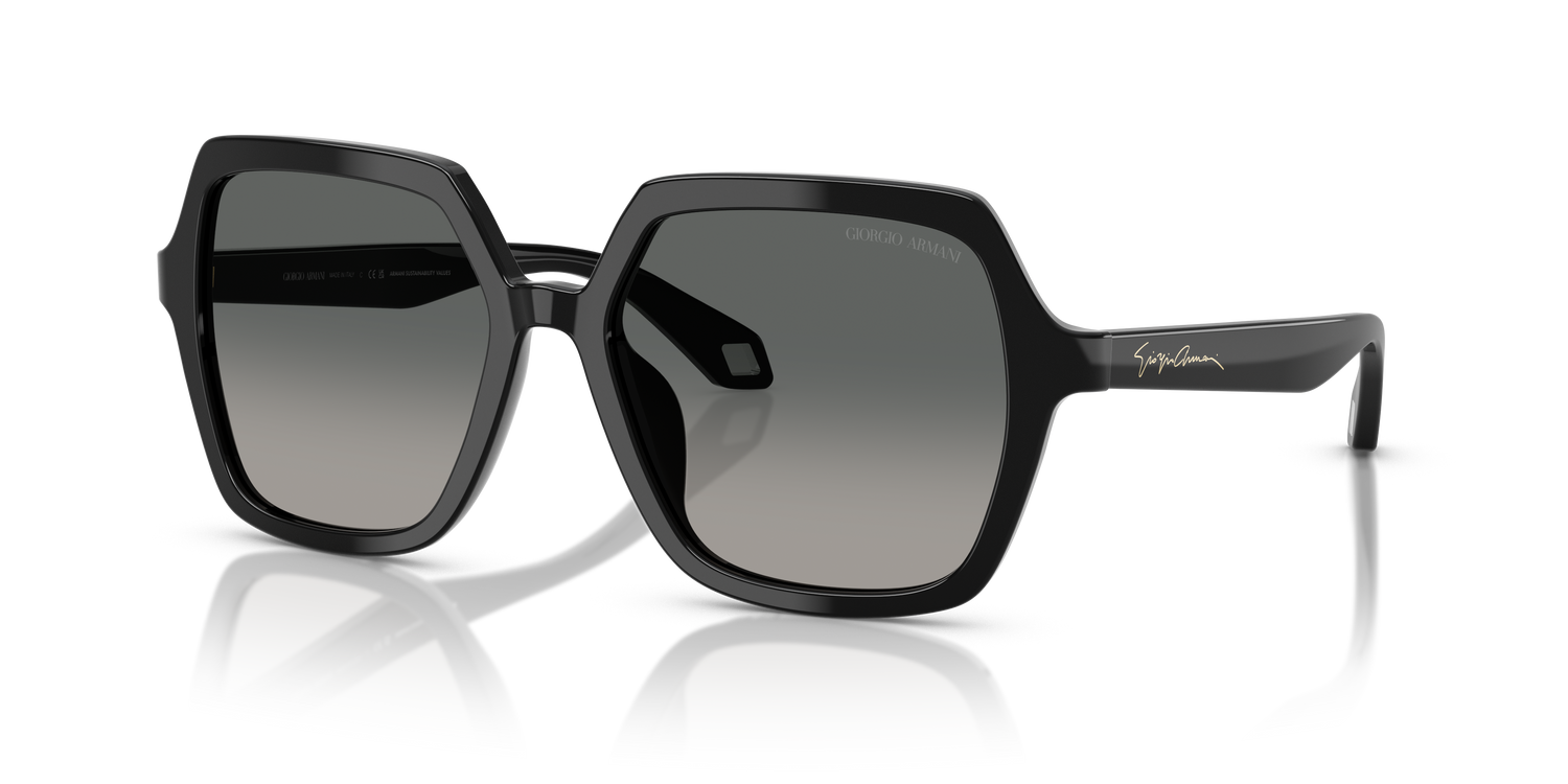 GIORGIO ARMANI AR8193U 500119 55