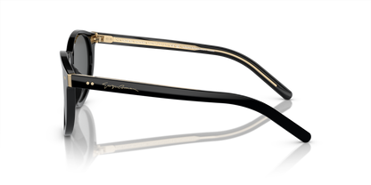 GIORGIO ARMANI AR8199U 587587 50