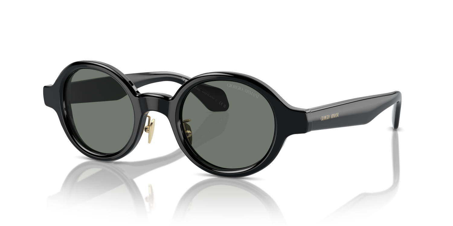 GIORGIO ARMANI AR8205 6060/1 46