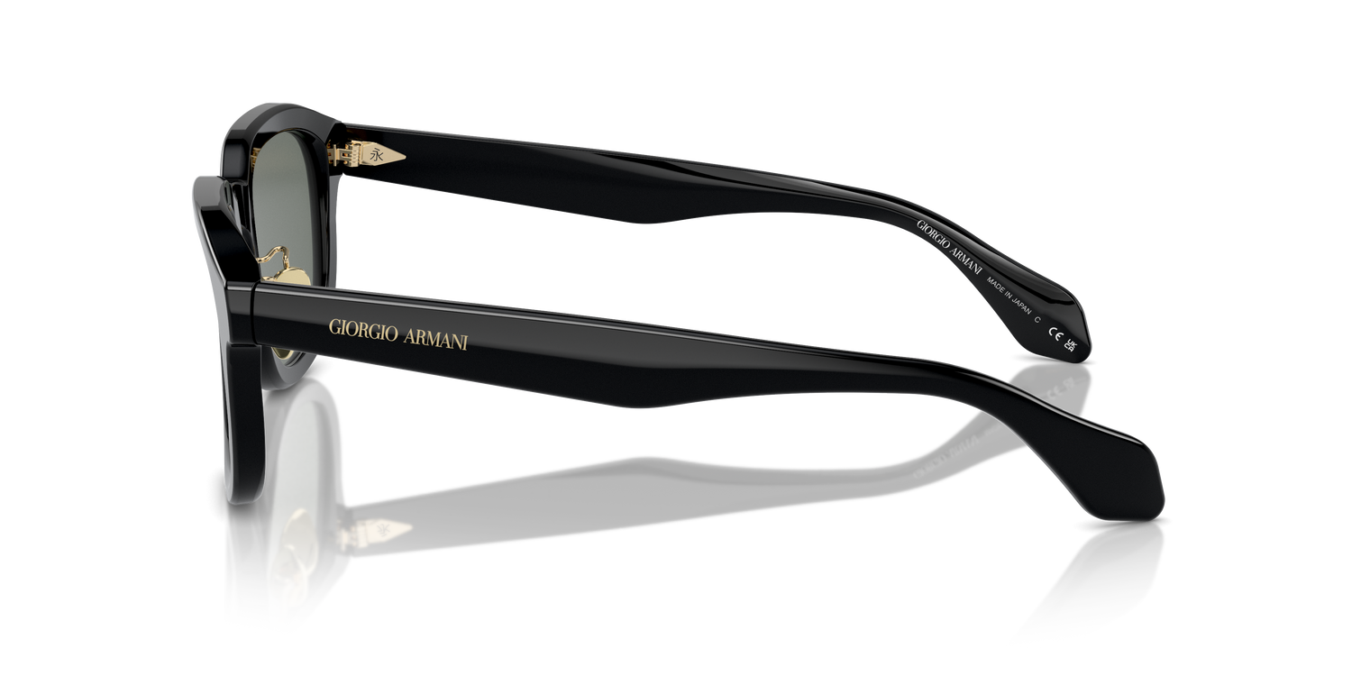 GIORGIO ARMANI AR8206 6060/1 51