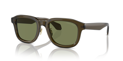 GIORGIO ARMANI AR8206 60612A 51